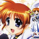眩しかった日のこと、そんな11月19日の日のこと
