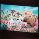 11月21日の日記