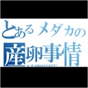 できちゃったみたい