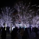 福岡にて