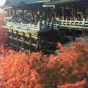 京都観光