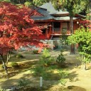 京都観光