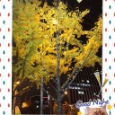2013.12.7