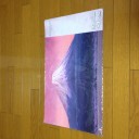 GP静岡のプレイマットは john avon の富士山！