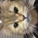 昔の画像を漁ったら