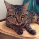 昔の画像を漁ったら