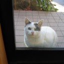 ちょうだい