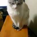 連休5日目