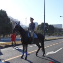 [日常] 一般参賀
