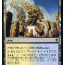 モダンカード在庫補充！！