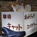 俺が正義だ
