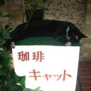 俺が正義だ