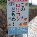 1月15日の日記