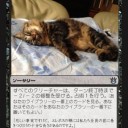 悲哀まみれの猫画像