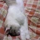 1月20日の日記