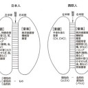 一週間後  グツグツ