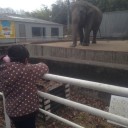ローカル遊園地