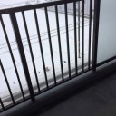また雪だ