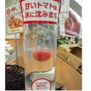 何はともあれ正直であることは好感がもてる。