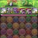 パズドラ日記【紅華龍周回の真の目的