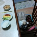 3月8日の日記