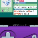 ポケモンおもれー