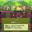 蒼の華龍(地獄級)攻略