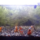3月16日の日記　飼育276日目