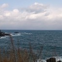 風の音が胸をゆする　泣けとばかりに