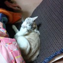 3月19日の日記