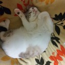 3月27日の日記