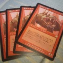 岩山トカゲの思い出