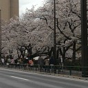 花曇り