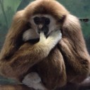 動物園行ってきた
