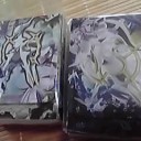 記録用　デッキケース⑥
