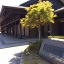 My MTG Great Journey GP名古屋 その2