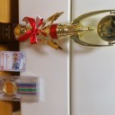 祝☆テラバルチャンピオン