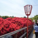長岡天神まで筍を買いに行きました。