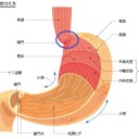 いや～きつかったっすね今日は