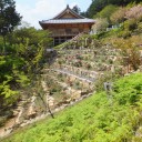宇治・平等院と石山寺