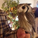 ビアカフェゾット＆フクロウカフェ