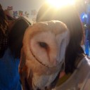 ビアカフェゾット＆フクロウカフェ