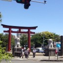鶴岡八幡宮に行ってきました。