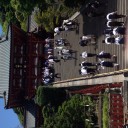 鶴岡八幡宮に行ってきました。