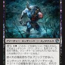 いま使ってる黒単アグロ