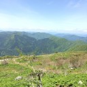燃ゆる思ひを