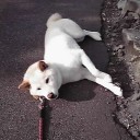 5月も早月末