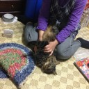 猫に襲われる1秒前
