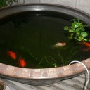 休日の土曜日