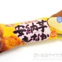 【暑くなってきたので・・・アイスの話】　ガリガリくん　ナポリタン味はあかん(+o+)の巻